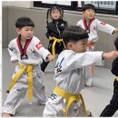 거룡태권도2관 이미지