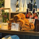 월곡 | [성북/월곡]한식과 전통주가 어울리는 공간, 월곡 맛집 ‘노운’ 후기