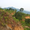 횡천면사무소 이미지