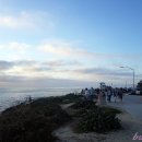 라호야(LA JOLLA) 이미지