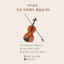 데이지바이올린