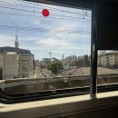 씨유대전괴정온누리점 | 대전 당일치기 기차 여행