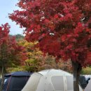 메사 캠핑장 | 집사부일체 촬영지! 포천 계곡메사오토캠핑장 완벽 리뷰