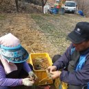 종근농장 이미지