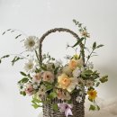 아우어모먼트 이미지