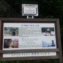 음정마을 이미지