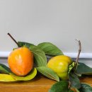 디지털정보도서관 이미지