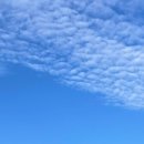 가조가마솥육개장순두부 이미지