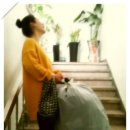 청소쟁이 이미지