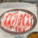 피그가든 이미지