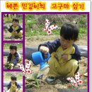 민경농장 이미지