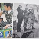 새생활문화사