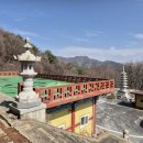 삼백육십오일사 네이버블로그
