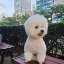 천옥탕 이미지