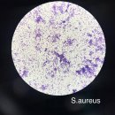 회현동 행정복지센터 동아리방 | 대전 임상병리사 현실 취업 후기 대학병원 , 요양병원, 혈액원, 건강관리협회, 결핵관리협회, 등등...