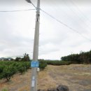 세화1리마을회관 이미지