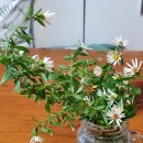 (주)가빈유통 | 럼145회》1인 창업을 통한 스몰비지니스 시작, 이승규 강사, 국제보석감정사 마이젬주얼리 대표 강의후기