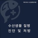수원 세류동 동몰병원 메디피쉬 수산질병관리원 신뢰의 동물병원