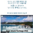 하나마이스투어