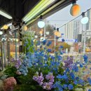 천호대로 213길 | 강동구 상일동 인생꽃집추천 행운꽃플라워