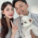 [wedding˚ෆ*] #13.반려동물 동반 세미 웨딩 촬영 글로리안 스튜디오