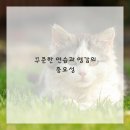 드로잉 기초 이미지