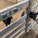 유순농장 이미지