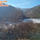 선용목장 네이버블로그