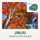정촌면-4 | [진주] 경남 가을 여행 추천 &#39;월아산 숲속의 진주&#39; 산책 후, 맛집 탐방 후기