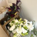 비에프짐 | [노마하우스] 10월 대구 비오는 날 스튜디오 웨딩촬영 노마 하프 촬영후기, 드레스 대여 추가금 정보