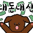 대전 댕댕택시 네이버블로그