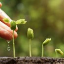 우성스포츠센터 이미지