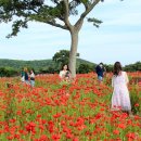 불로초목장 이미지