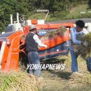 옴천면사무소 이미지