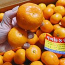 에바다농장 이미지