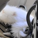 방산면사무소 | [강원도 양구] 강원도 독채펜션 가족여행 숙소 후기