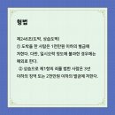 대포홀덤