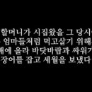 풍천장어 이미지