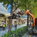 은행나무 경로당 이미지