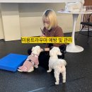 멈무살롱 이미지