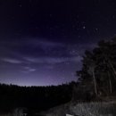 스텔라(Stella) 이미지