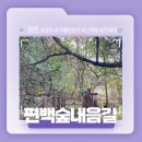 경주 외곽 트래킹 할만한 곳! - 편백숲내음길 리뷰!
