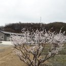 미석농장 이미지