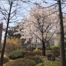 래미안라센트공인중개사사무소 이미지