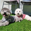 견상낙원 이미지