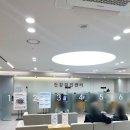 3공단2로-9 | 강남 언주역 비에비스 나무병원 건강검진 후기｜공단 검진 + 자궁경부암 실제 과정