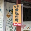 월드황토민박 네이버블로그