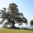 임천축산 이미지