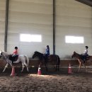 임자남초등학교 이미지