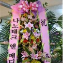 나노테크메디